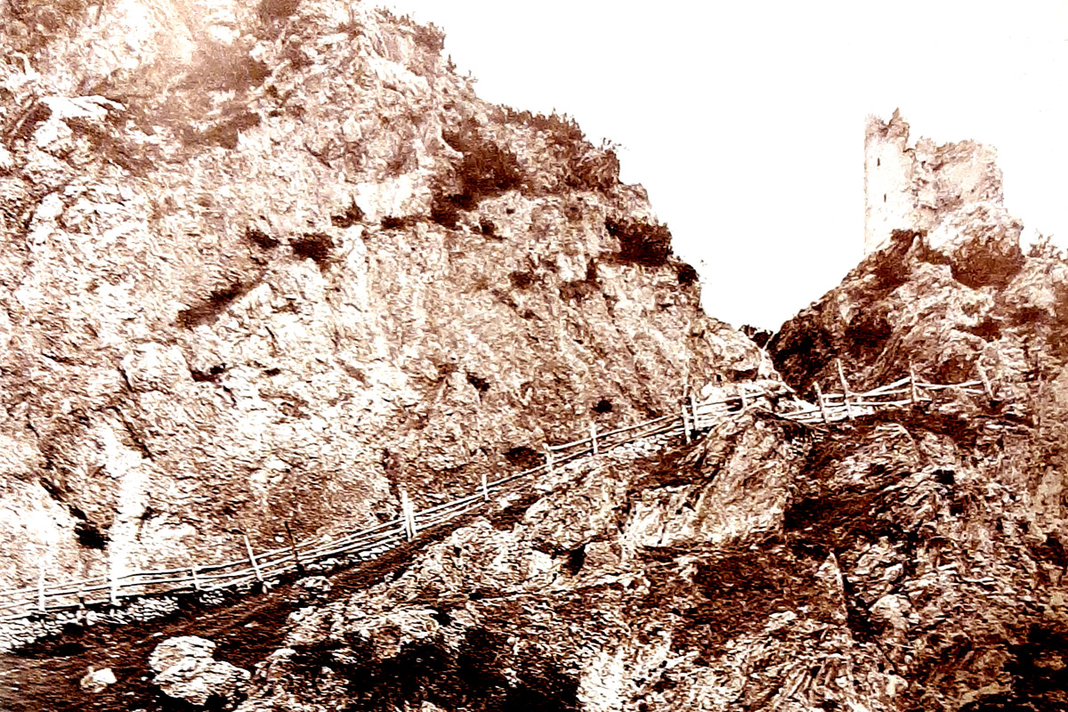 scale