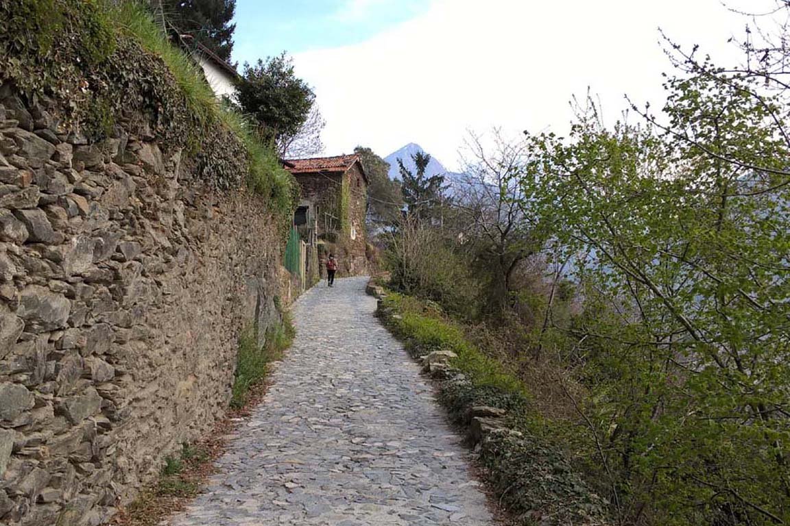photo.jpg