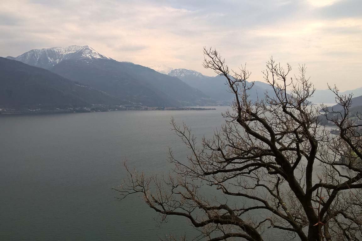 photo26.jpg