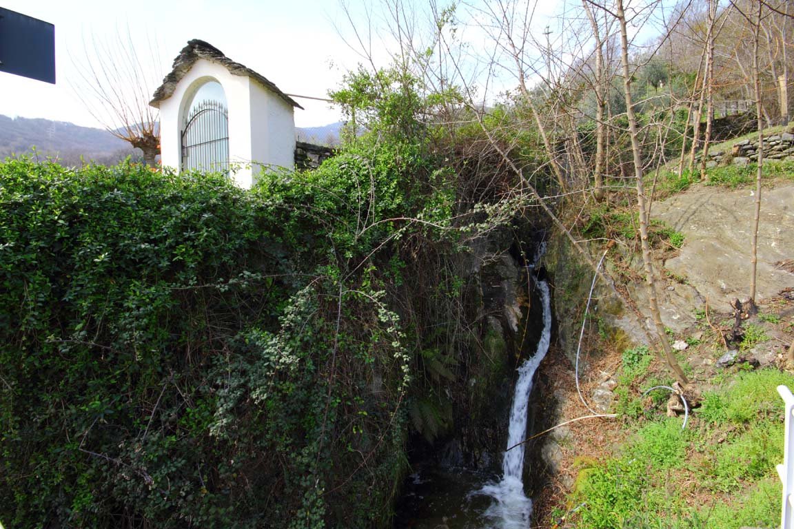 photo4.jpg