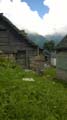 WP_20140830_15_33_54_Pro