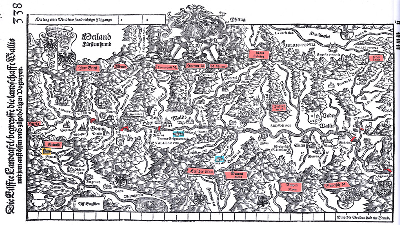 MAP-walser-01-stumpf