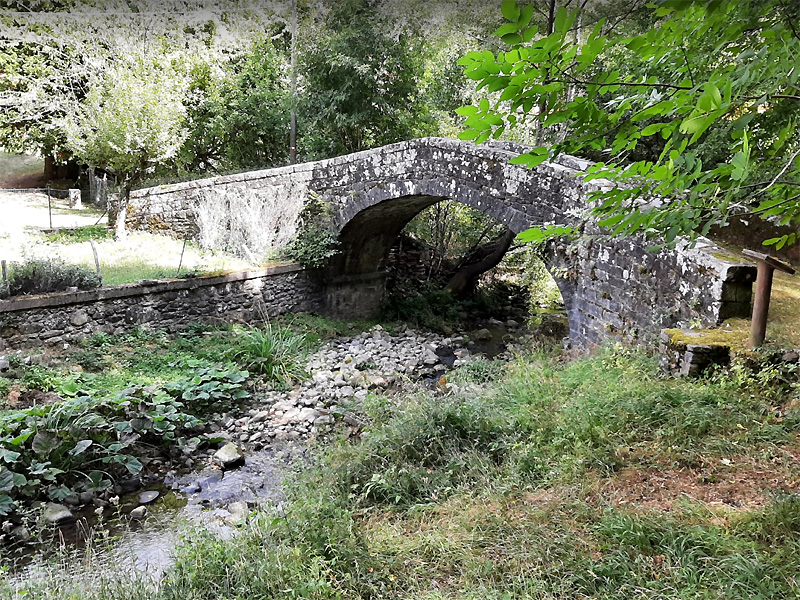 ponte