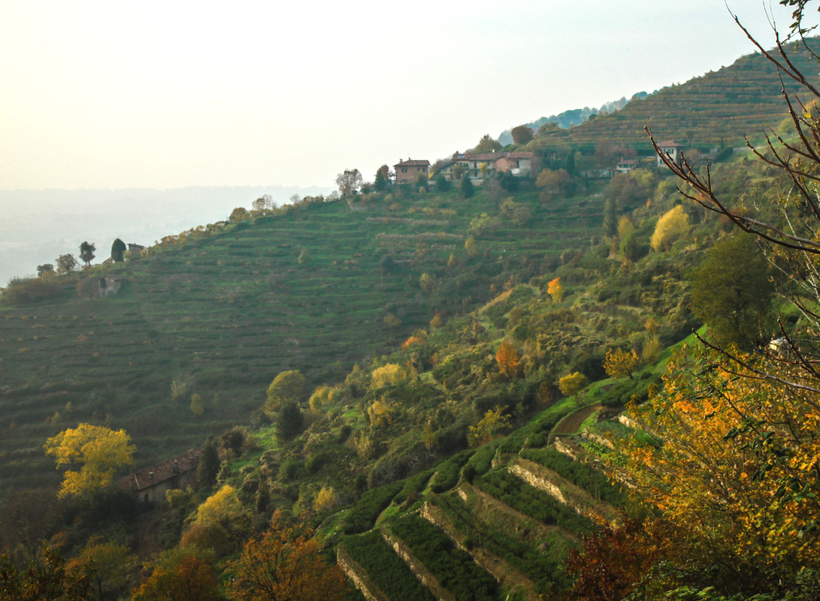 montevecchia